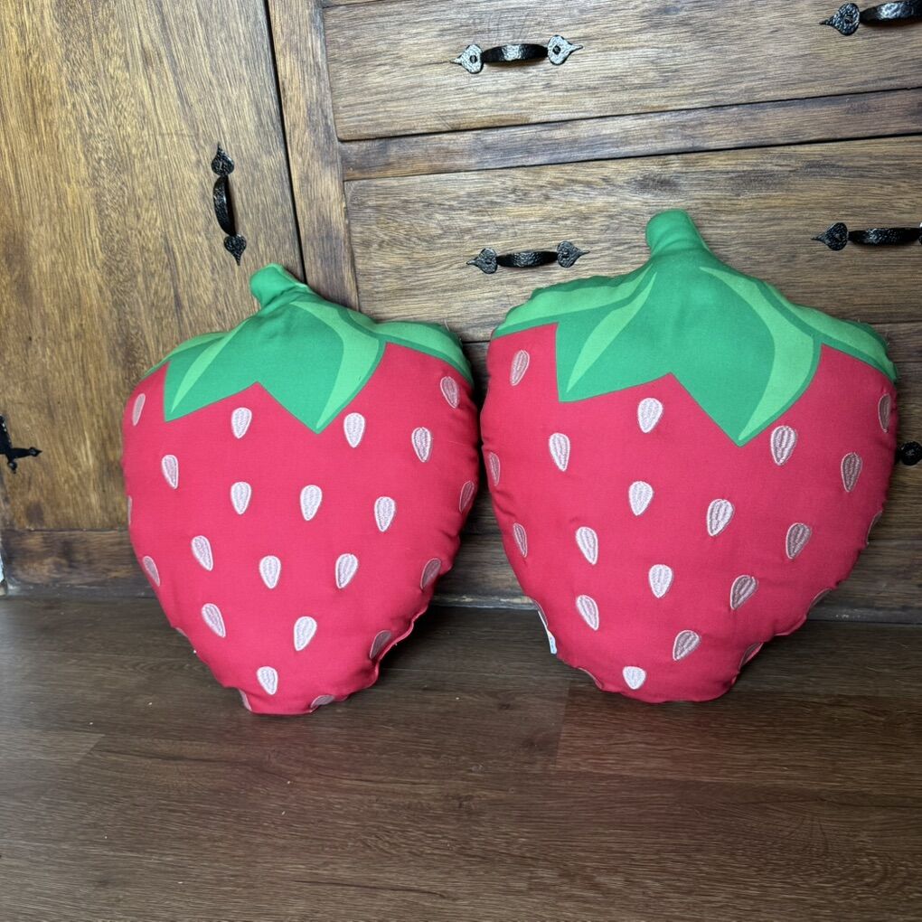 Large Outdoor Strawberry Pillows Novogratz 16x20x5