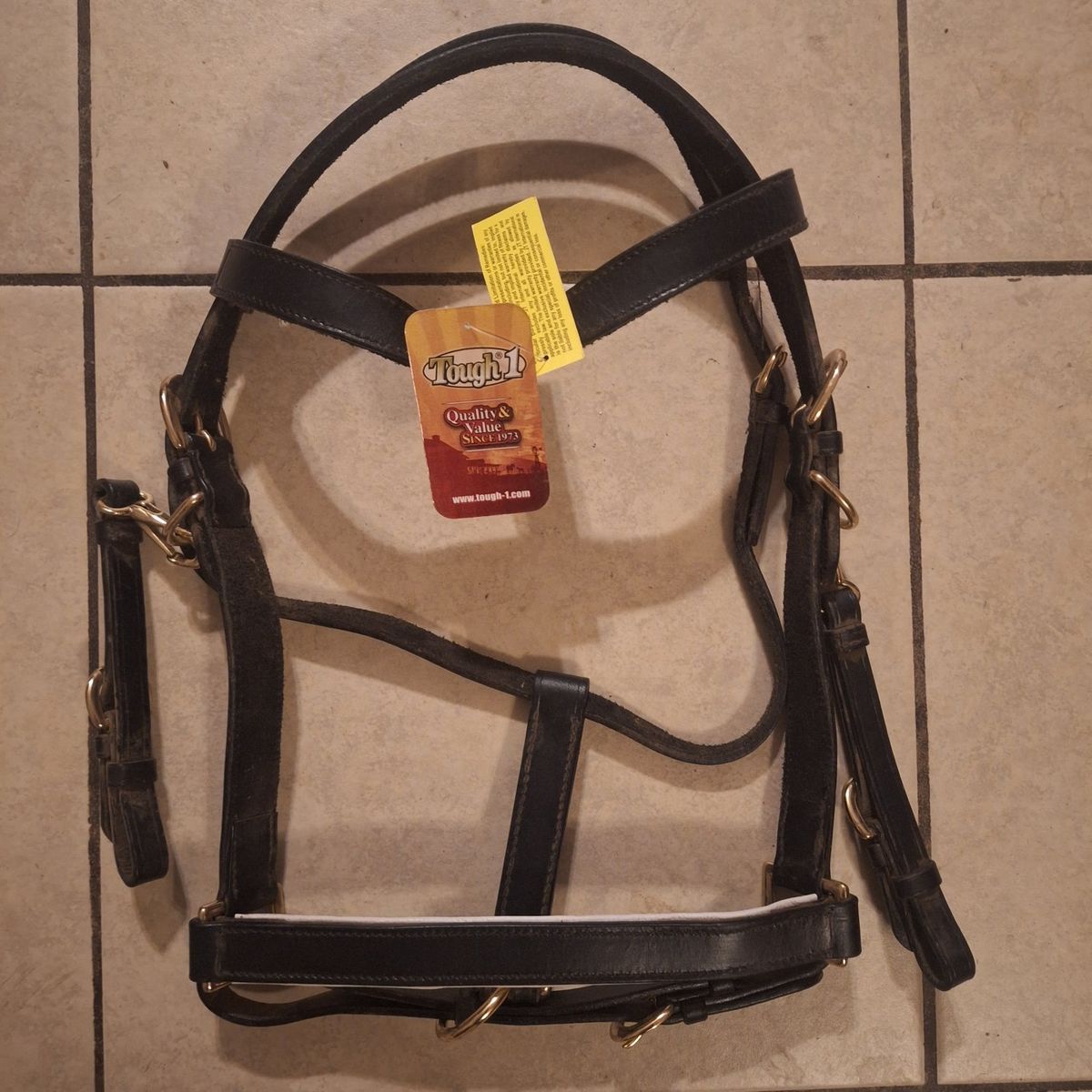 Halter / Bridle Combo