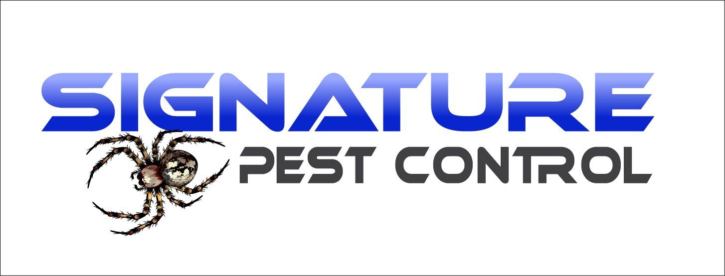 Spring Cleaning for Pests Starts Now