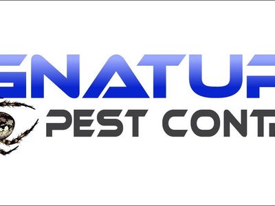 Spring Cleaning for Pests Starts Now