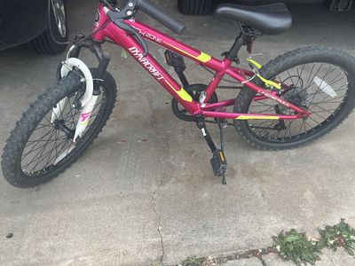 20 Inch Dynacraft Girls Mountain Bike