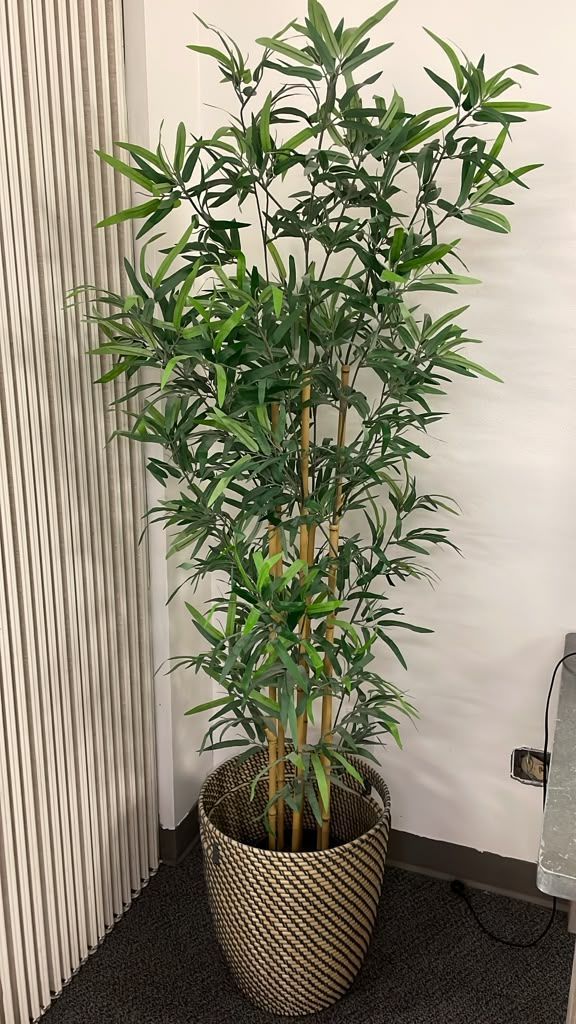 6-Foot Artificial Plant with Decorative Pot – $30