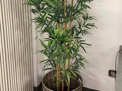 6-Foot Artificial Plant with Decorative Pot – $30