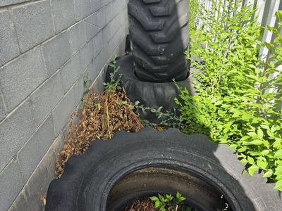 tractor tire troughs. (19 5l 24 )horses