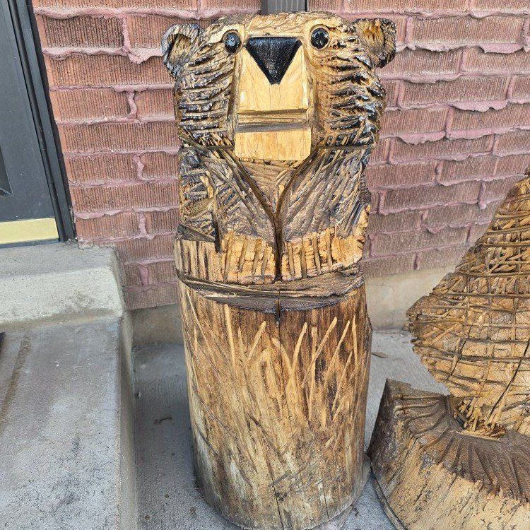 Chainsaw-carved Bear (cubby)