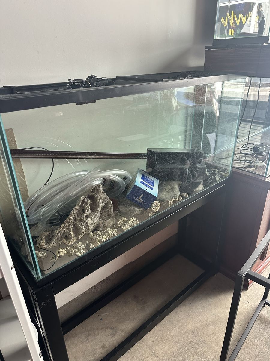 Fish Tank 60 gallons with accessories