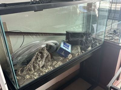 Fish Tank 60 gallons with accessories