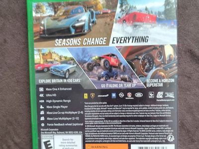 FORZA HORIZON 4