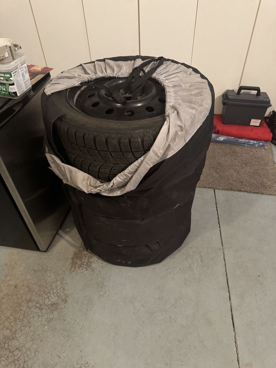 Blizzard 205/55R16