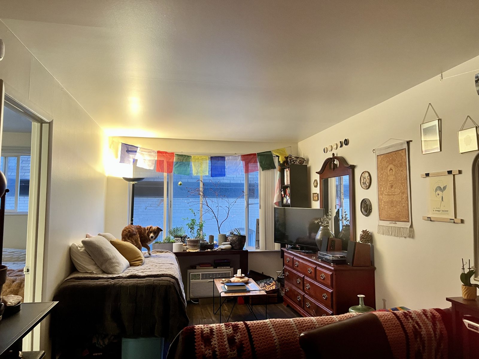 1 Bed 1 Bath Apartment Available May 1!