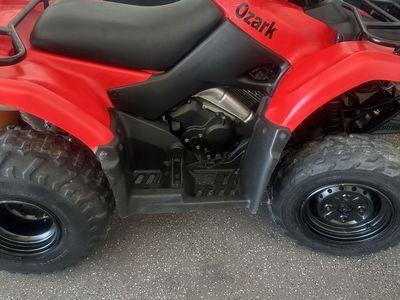 2002 Suzuki Ozark 250