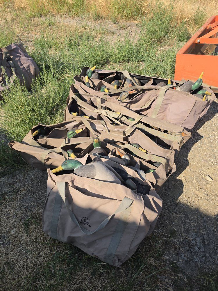 Full Body, Floaters Duck and Goose Decoys