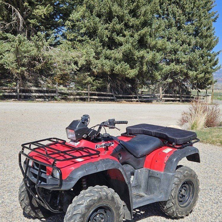 2003 Honda Rubicon 500