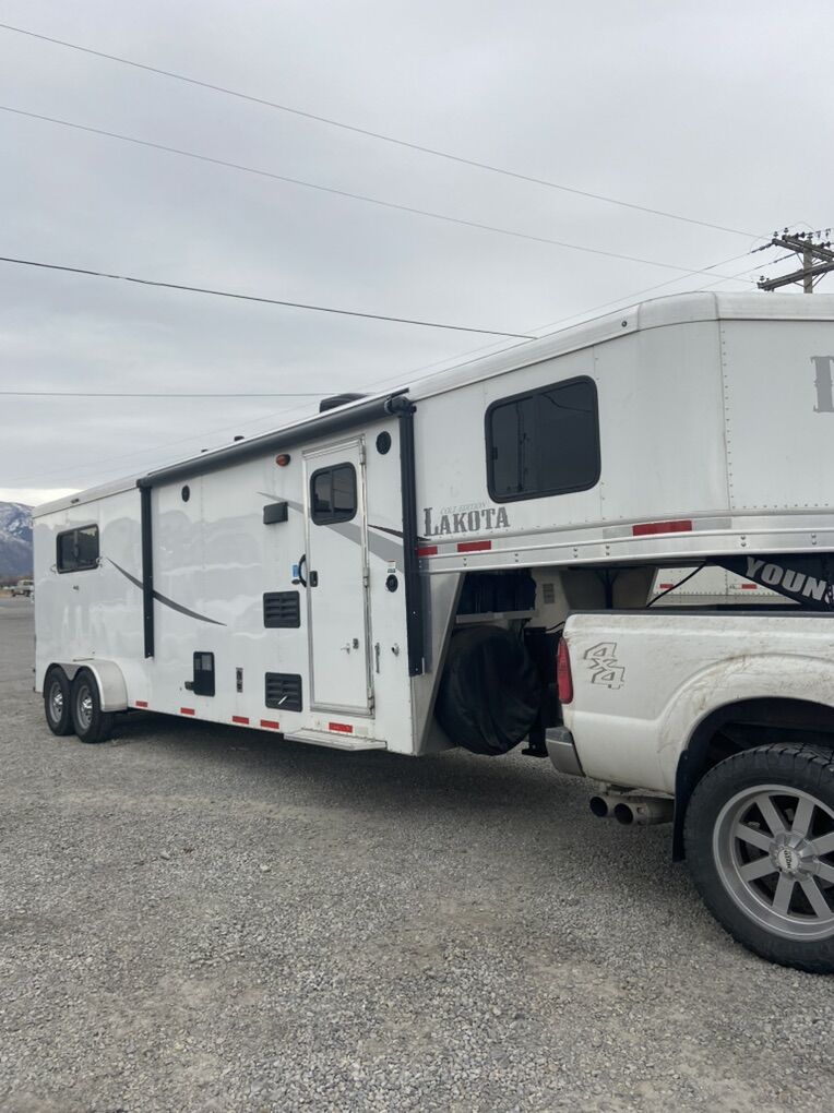 2020 Lakota Colt LQ 3 Horse