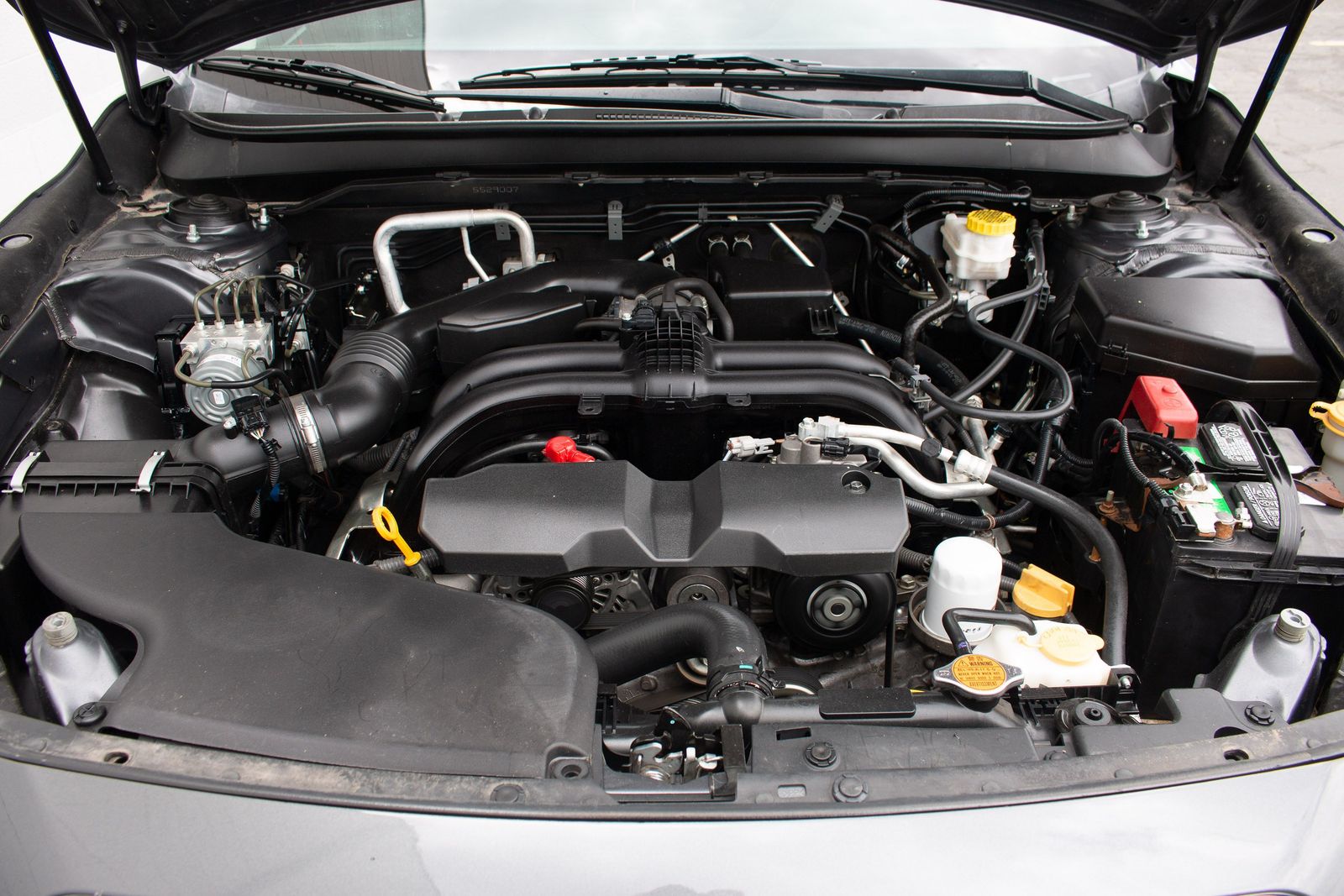 Main image 6
