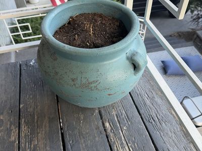 Turquoise pot with dirt