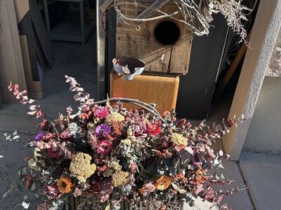 Bird House And Flowers