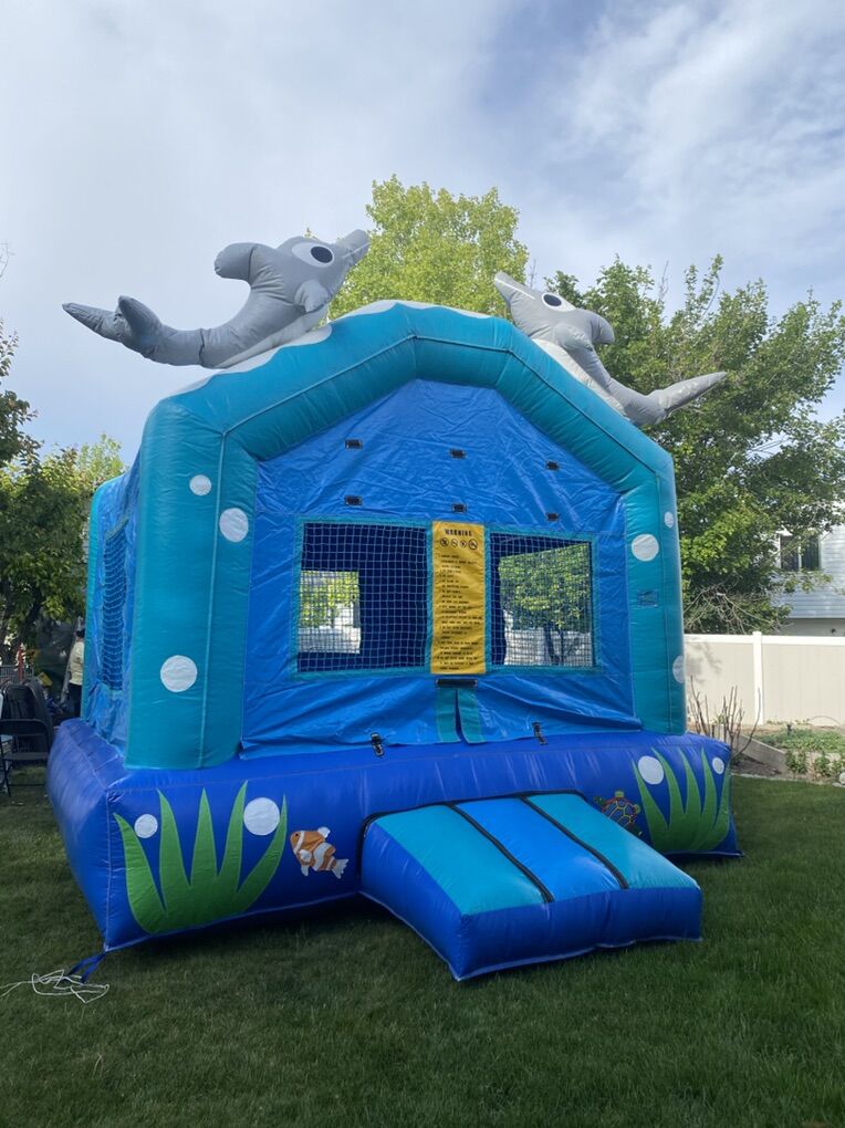 Inflatable Trampoline