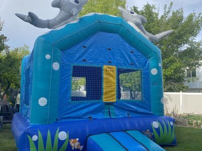 Inflatable Trampoline