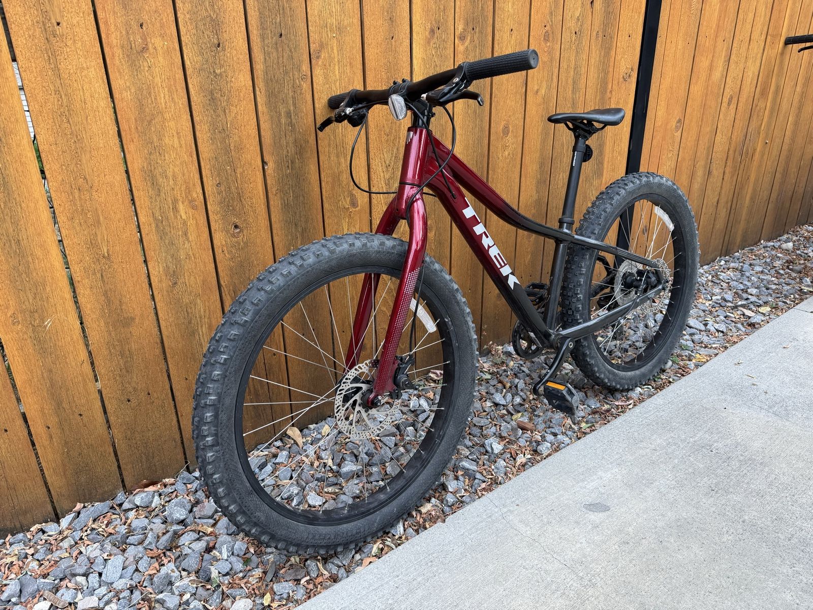 Trek Roscoe 24 kids bike