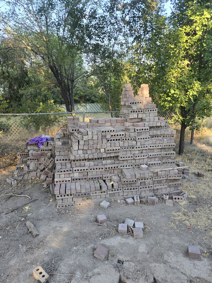 Bricks