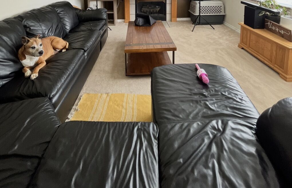 Sectional Couch For Sale