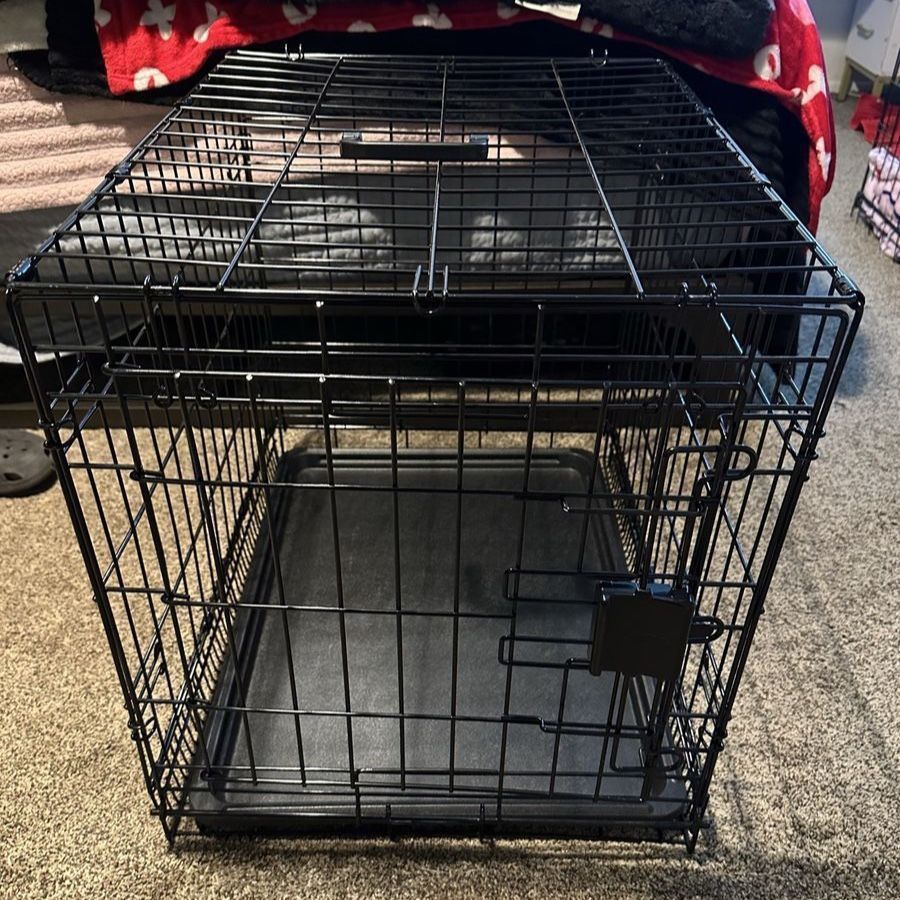 Dog kennel
