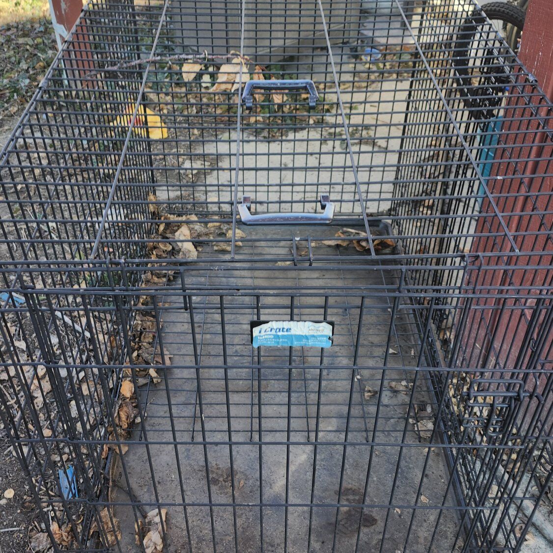 dog crate kennel