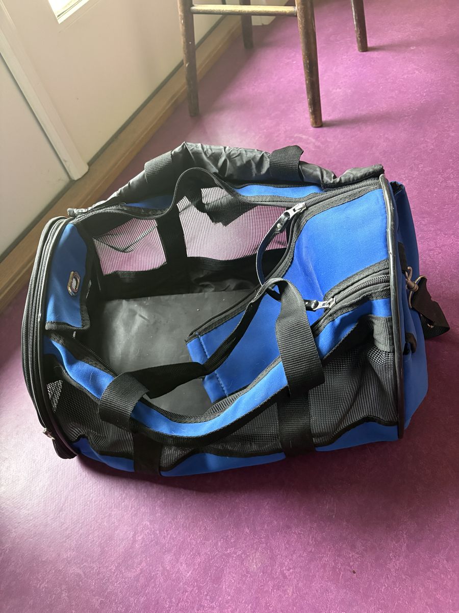 Small dog carrying case