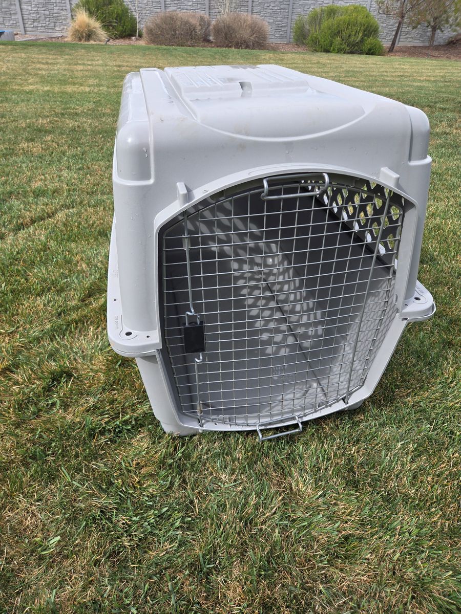 Large Dog Kennel