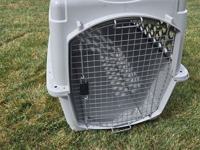 Large Dog Kennel