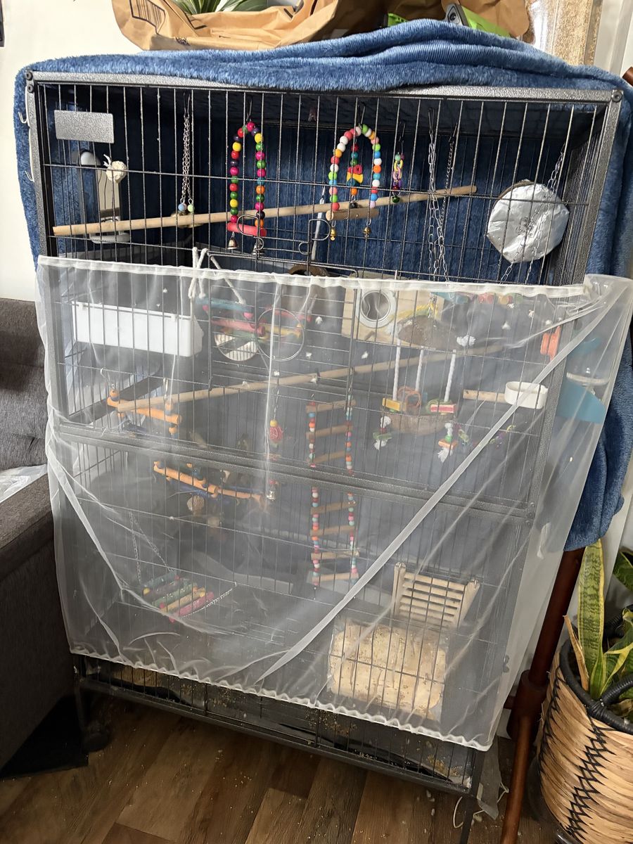 Bird cage