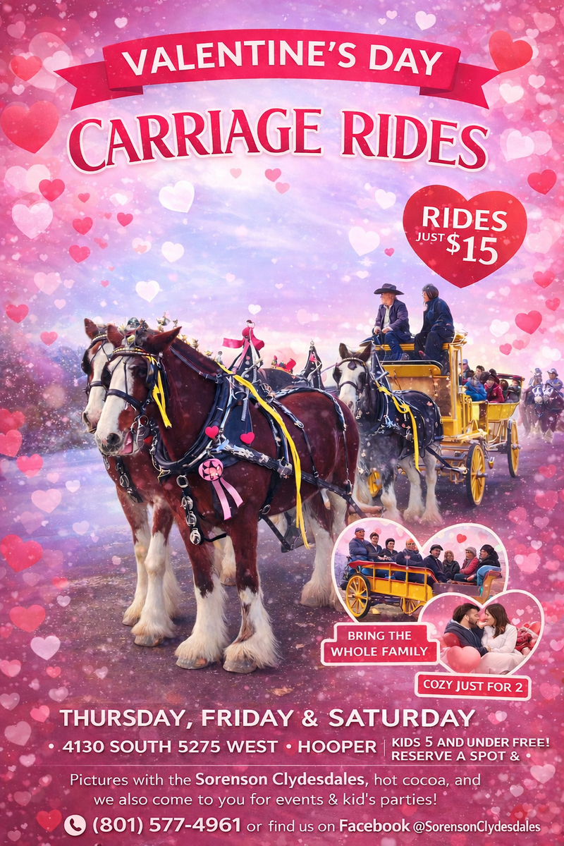 Horse drawn wagon rides