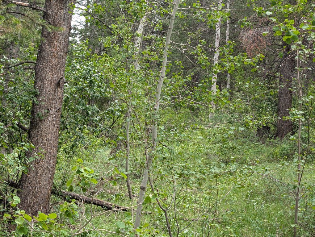 Main image 3