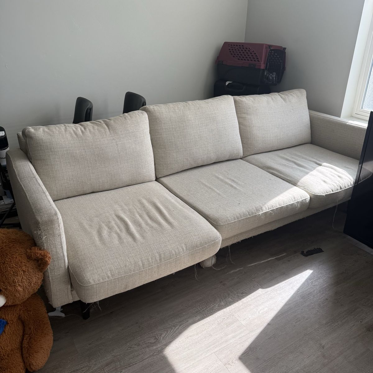 FREE COUCH