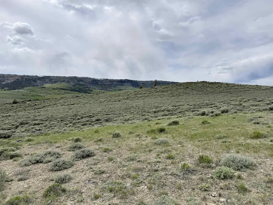 Main image 23