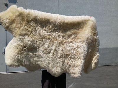 Natural White Genuine Sheepskin Area Rug