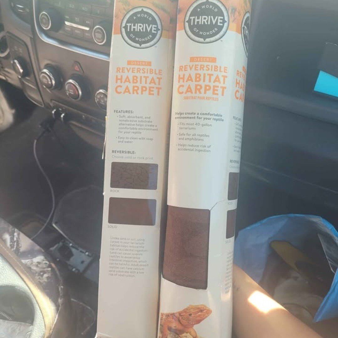 reptile, lizard carpet