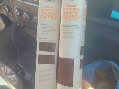 reptile, lizard carpet