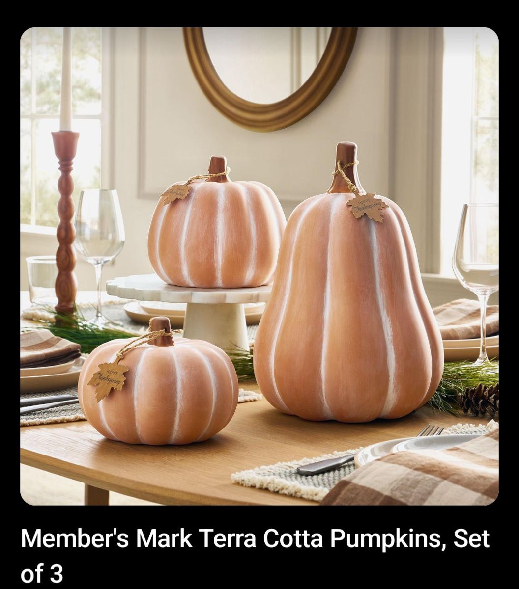 Set of 2 Terra Cotta Pumpkins Seasonal Decor
