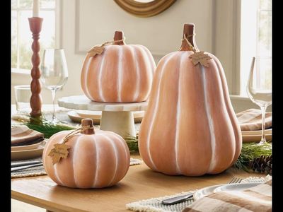 Set of 2 Terra Cotta Pumpkins Seasonal Decor