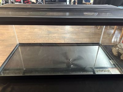 Used Rectangular 40 gal Glass Tank Terrarium with Mesh Top Screen - Versatile Reptile/Aquarium Enclosure