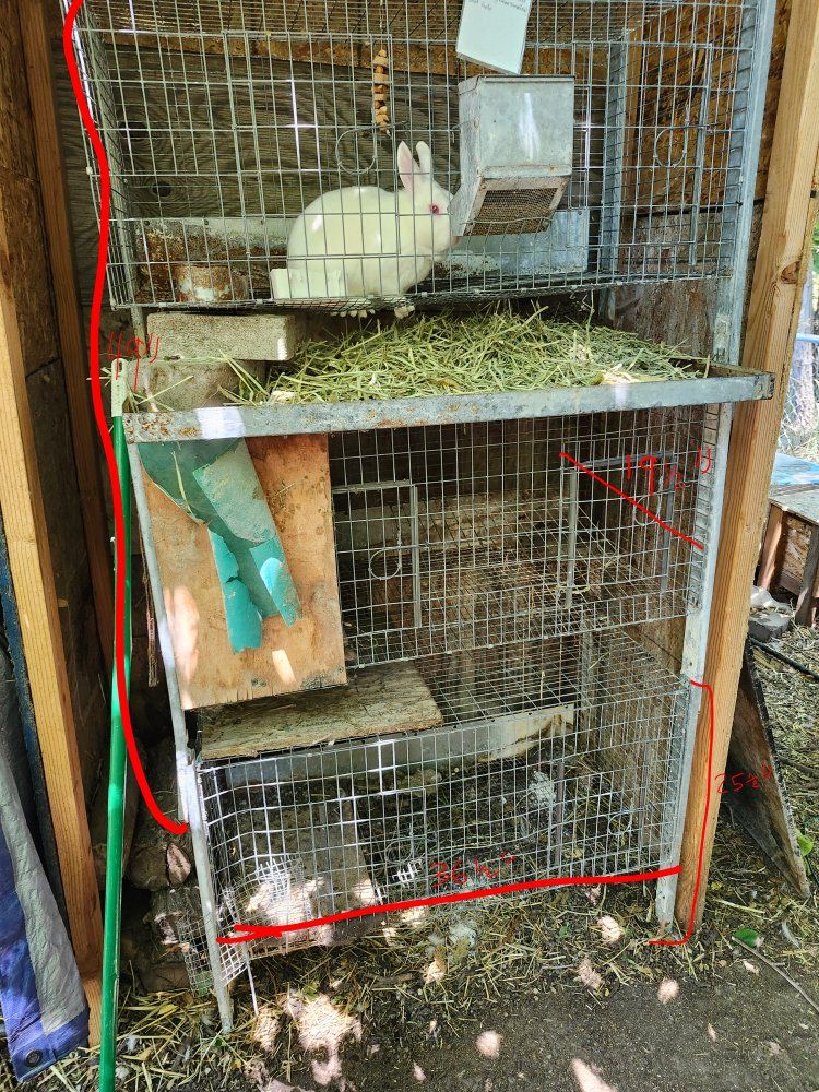 Main image 2