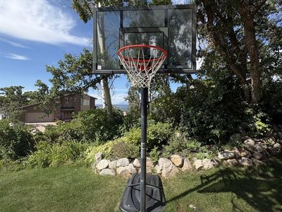 Lifetime Portable Basketball Hoop