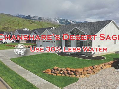 USE 30% LESS WATER ON YOUR BLUEGRASS LAWN