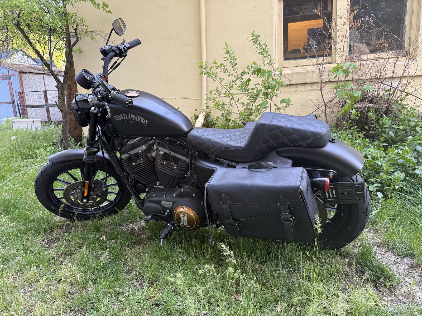 Harley-Davidson Sportster Iron 883 Motorcycle - Matte Black with Leather Saddlebags