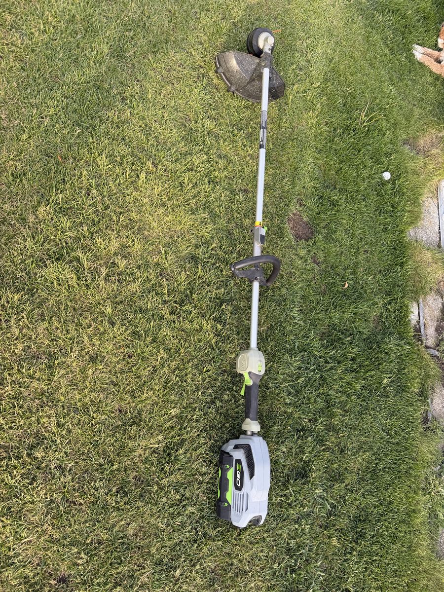 Ego string trimmer with pole saw