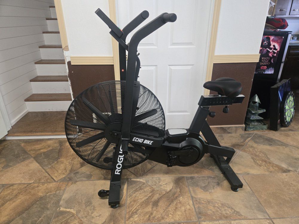 Rogue Echo Bike