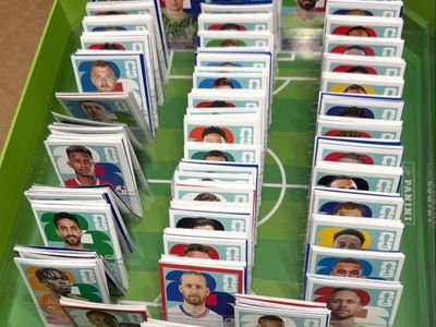 Panini 2026
