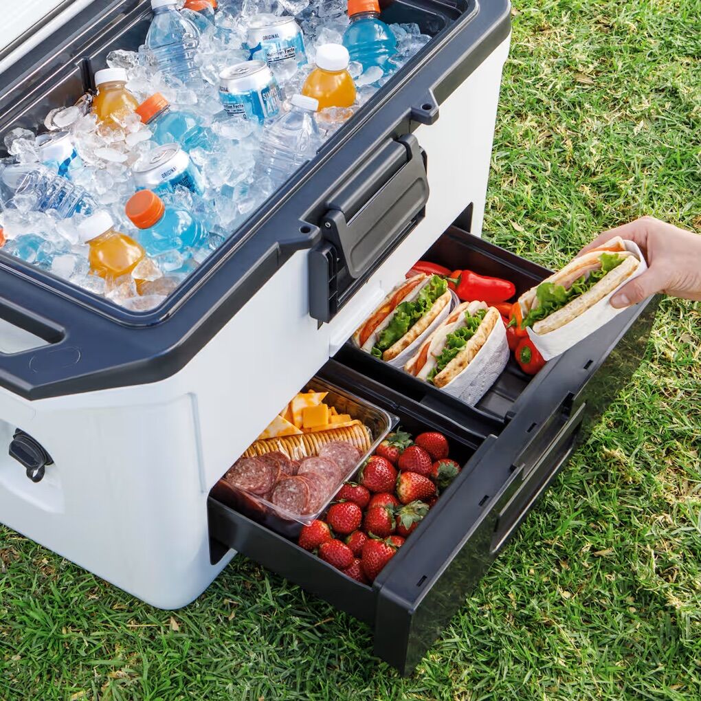 Ninja Frost Vault Cooler 50 Qt